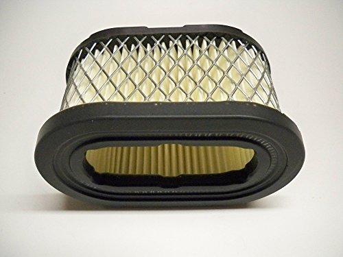 Set Di 2 Filtri Aria Per Motori Briggs &amp; Stratton &ndash; 494586, 497725, 497725S &ndash; LAWN &amp; GARDEN AMC