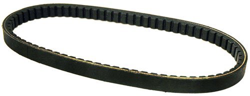 3/4" x 30-1/4" Replacement Go Cart Cogged Belt, Comet 203592, 203592A, B, C - Image 2